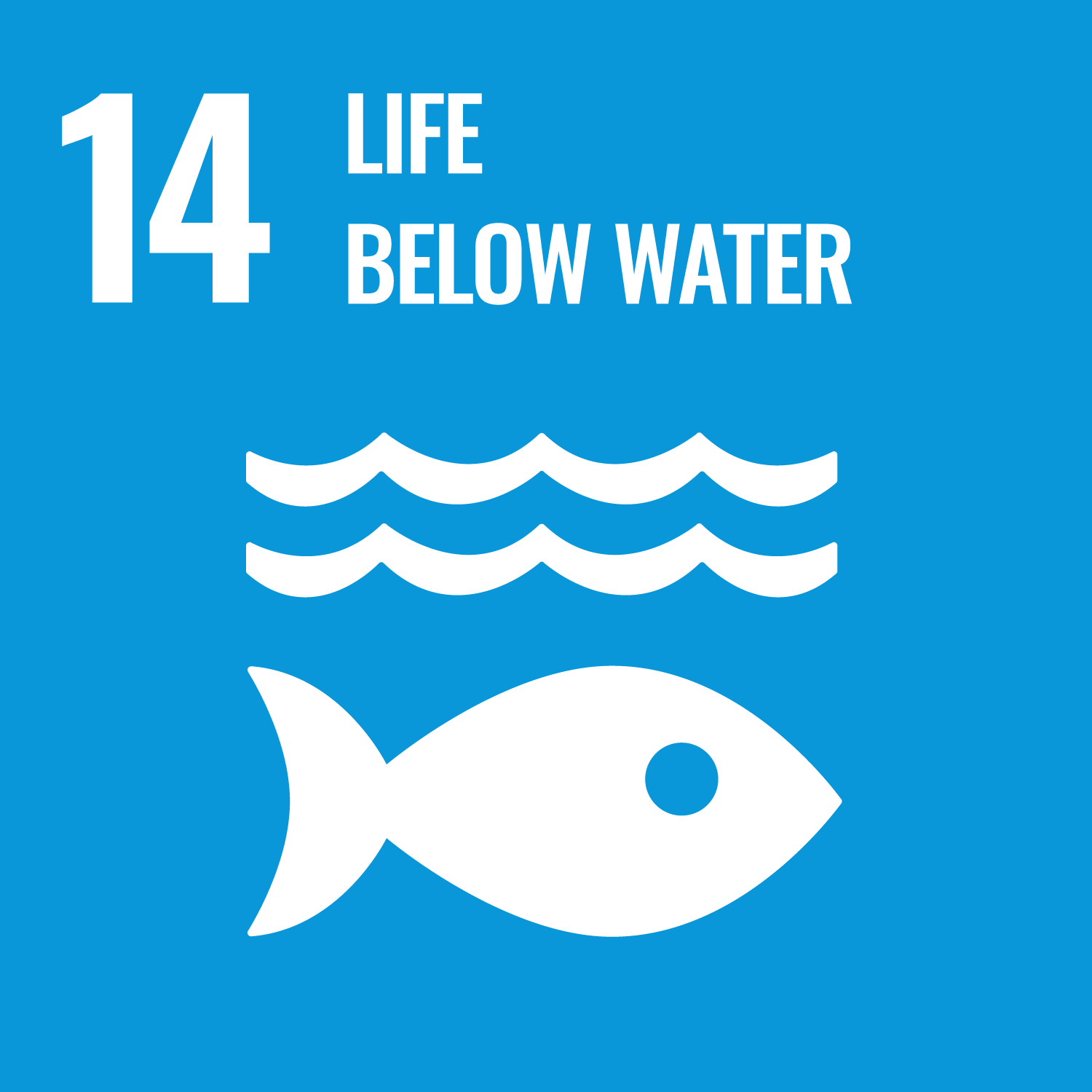 SDG 14: Vita sott’acqua